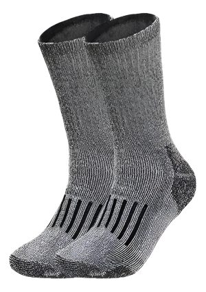 67909029